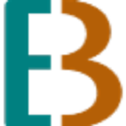 BigEndian Semiconductors logo