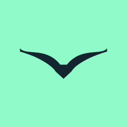 Flok Health logo