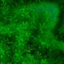 Shamrock AI logo